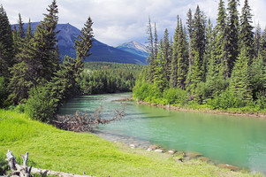 Maligne River